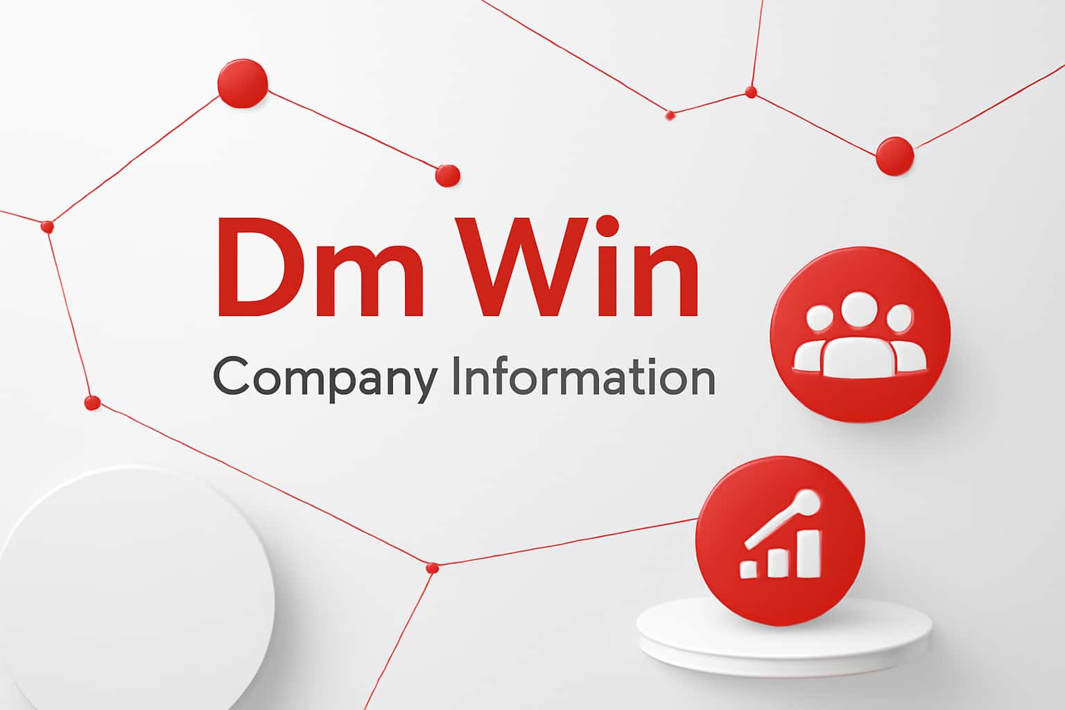 Dm Win Company Information Interface
